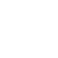 ISOI3485